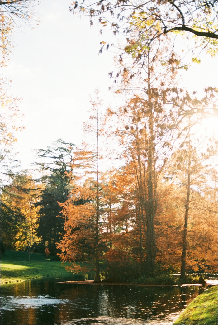 Longwood Garden's Fall Engagement Photos by Fine Art, Pennsylvania Film Photographer Hillary Muelleck // hillarymuelleck.com