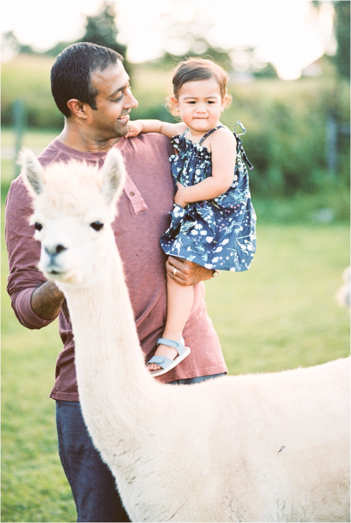 Family session filled with alpaca's and sun-dretched fields in Hershey, Pennsylvania by Hillary Muelleck Photography \\ hillarymuelleck.com