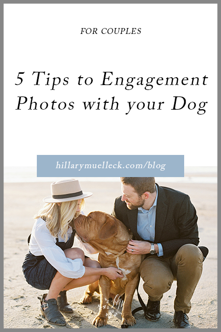 5 Tips to Engagement Photos with Dogs