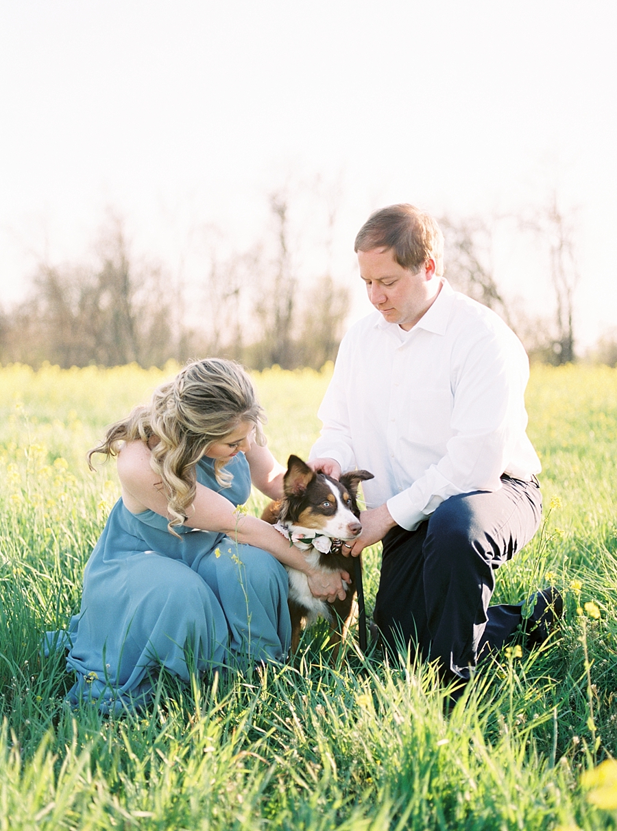 North Carolina photos in a golden meadow with an adorable dog by film photographer Hillary Muelleck