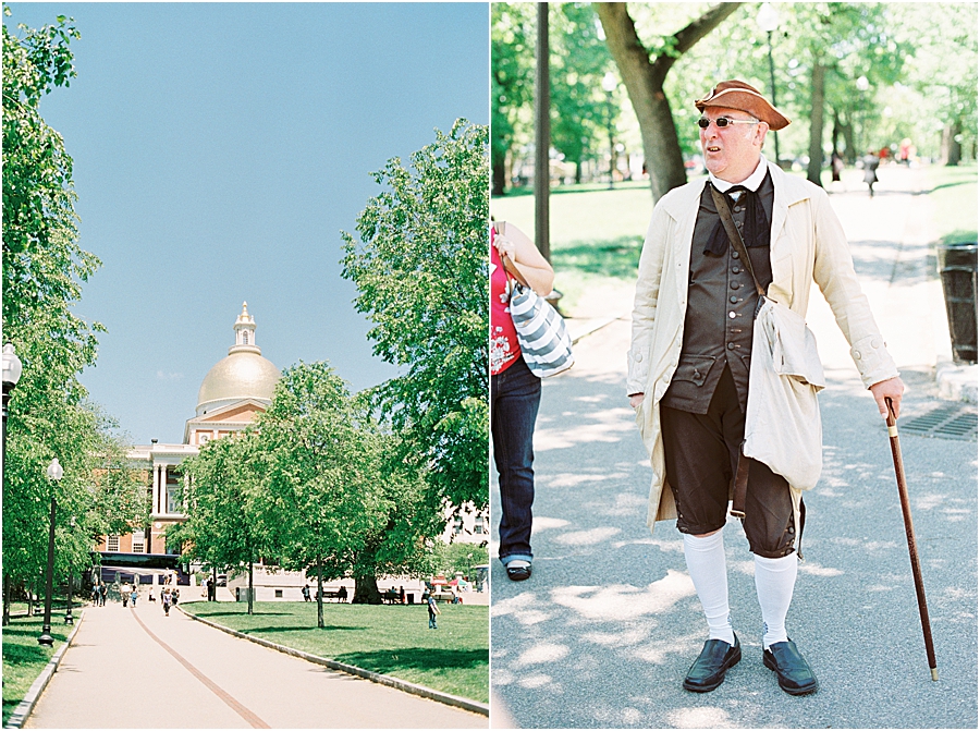 Our Dogue de Bordeaux, Boris, travels to Boston | Boston Travelogue
