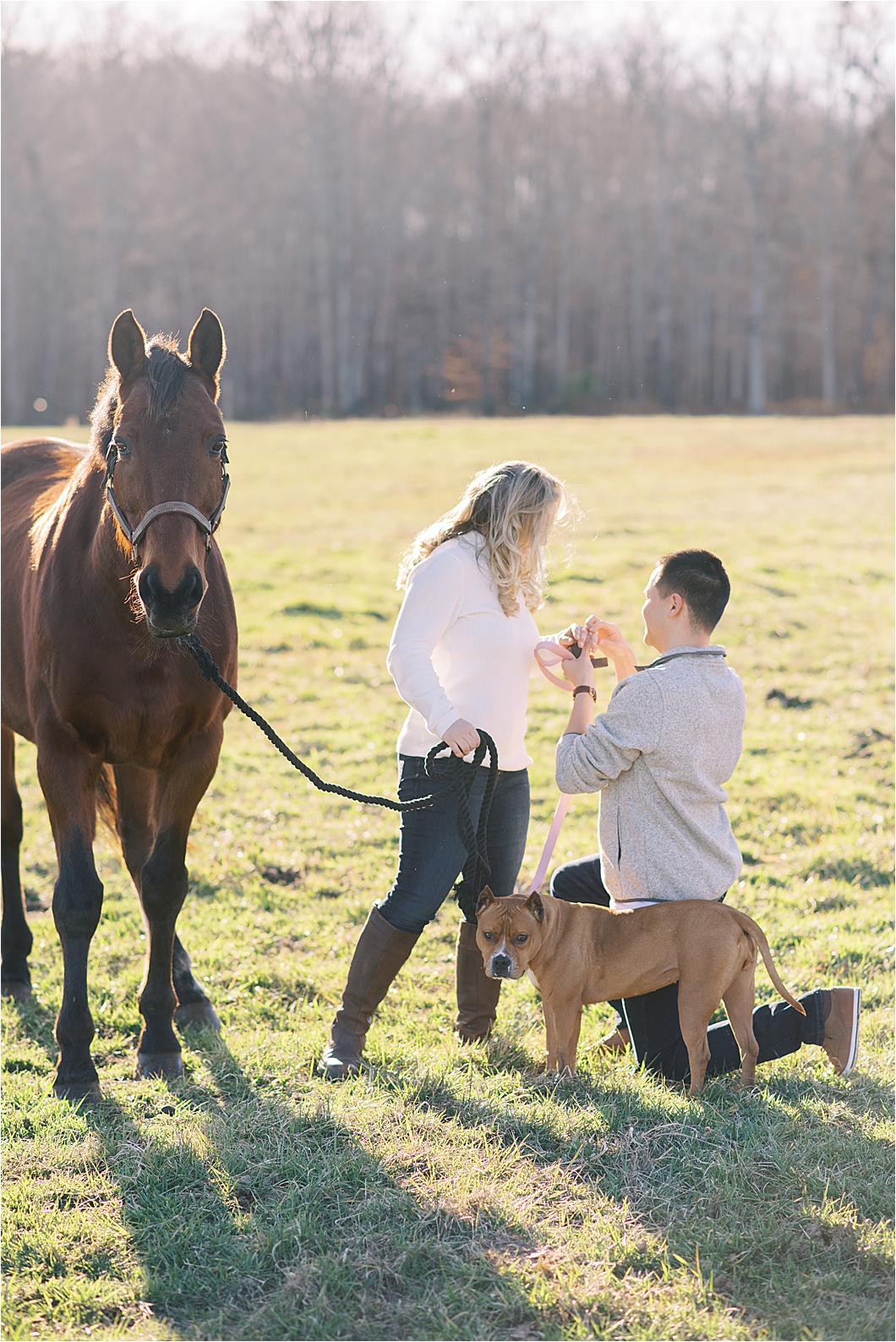 Surprise Marriage Proposal at Horse Ranch in Winston Salem, North Carolina