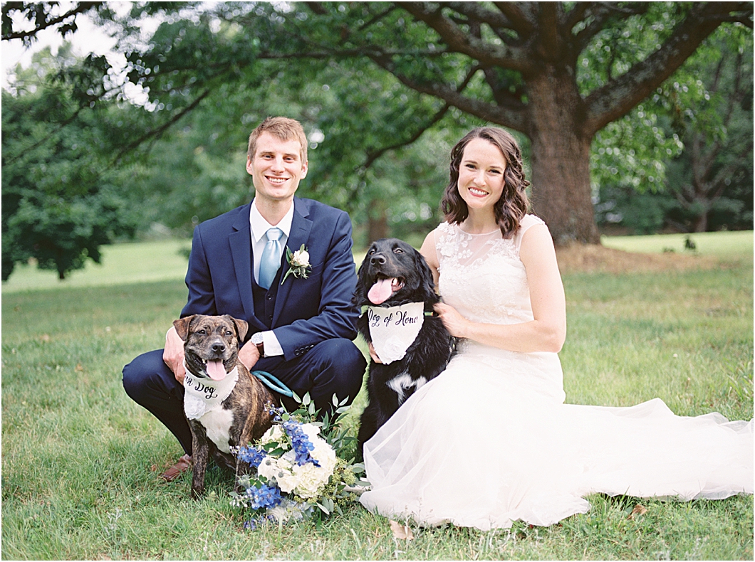 Micro Wedding with dogs in Winston Salem North Carolina