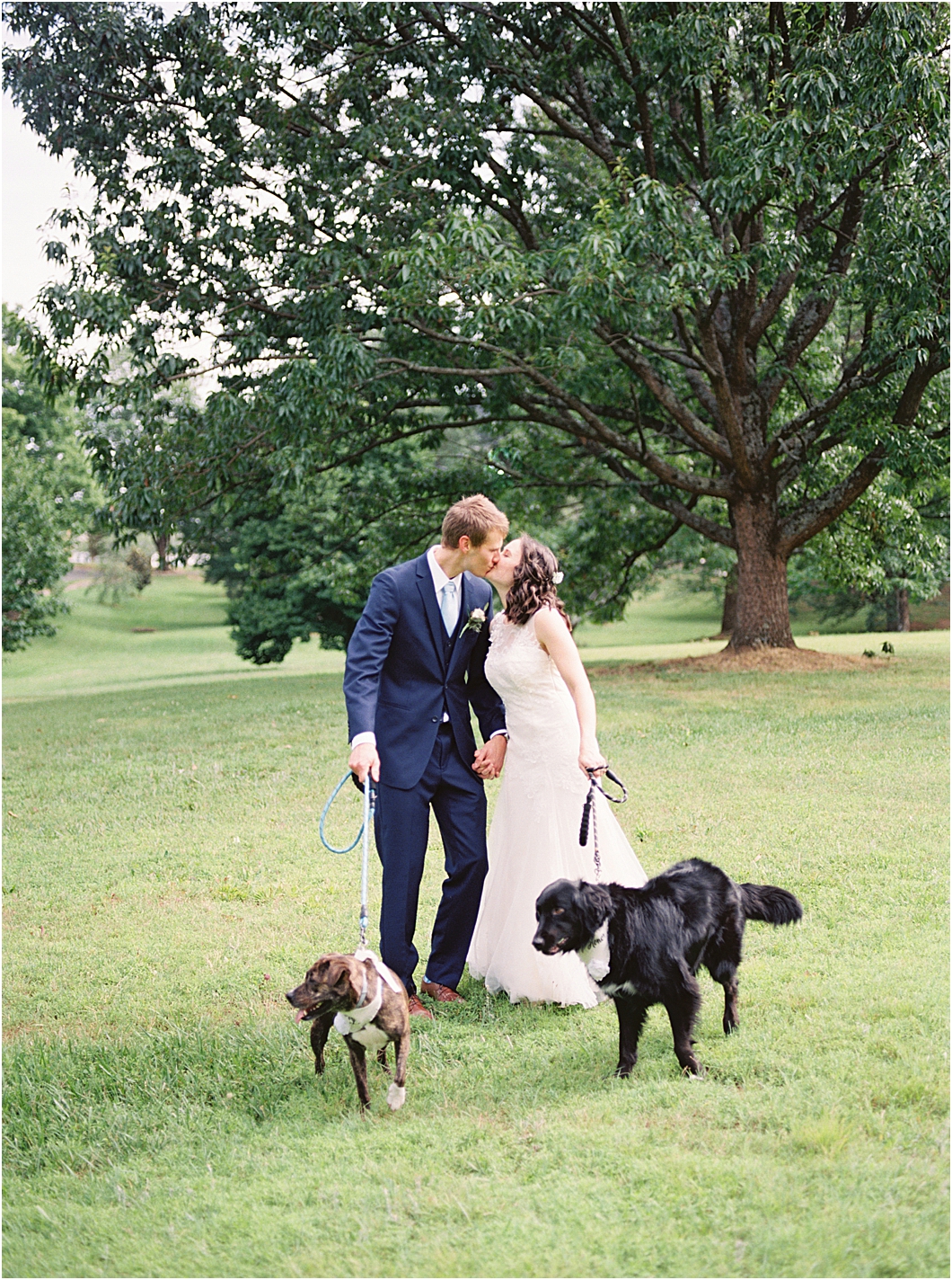 Micro Wedding with dogs in Winston Salem North Carolina