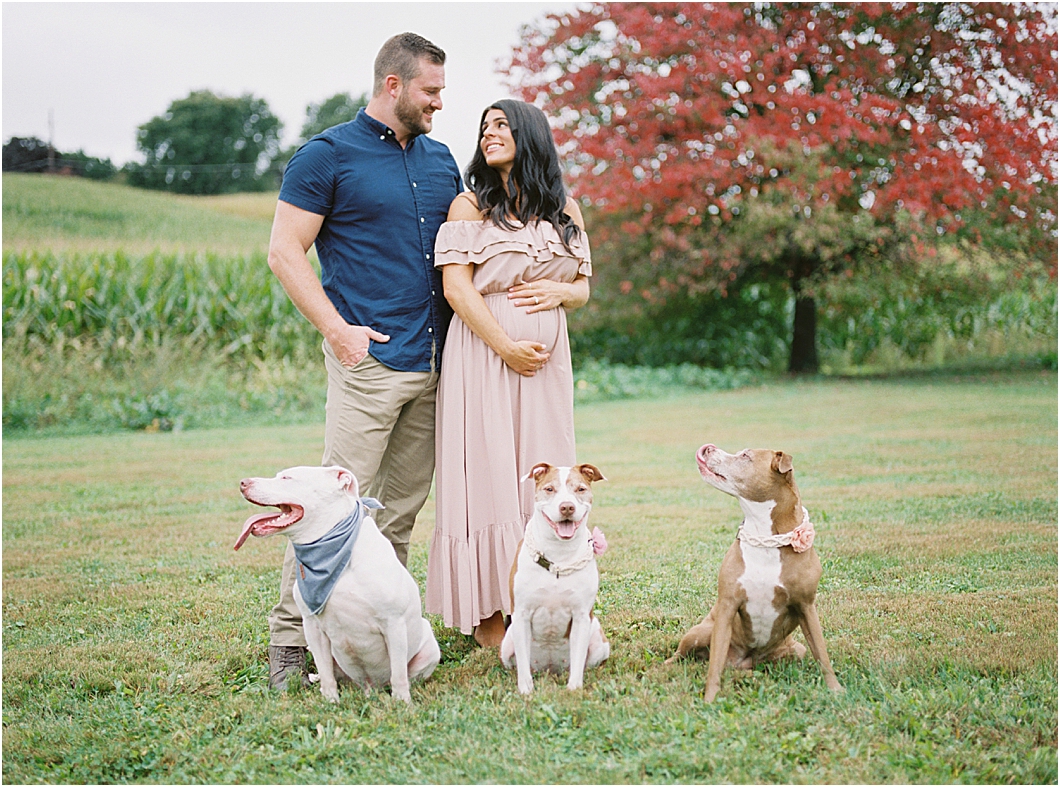 Farm Maternity Photos with three dogs